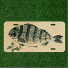 Custom Personalized License Plate Auto Tag With Fancy Big Fish Design NEW