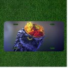 Creative License Plate Auto Tag With Owl And Fruit Bowl On Head