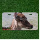 Creative License Plate Auto Tag With Cute View Of Deer Design