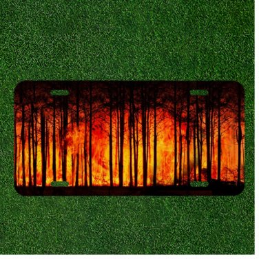 Custom Personalized License Plate Auto Tag With Stunning Orange Forest Trees