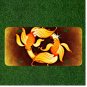 Custom Personalized License Plate Auto Tag With Amazing Gold Fish Design