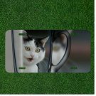 Custom Personalized License Plate Auto Tag With Stunning White Cat Design