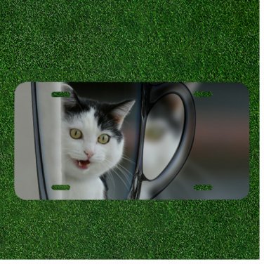 Custom Personalized License Plate Auto Tag With Stunning White Cat Design