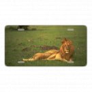 Custom Personalized License Plate Auto Car Tag Design With Lion Add Text