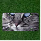 Custom Personalized License Plate Auto Tag With Amazing Blue Eyed Cat Design