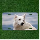 Creative License Plate Auto Tag With Cute White Dog VIew Add Names