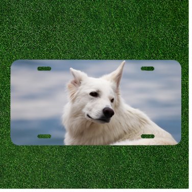 Creative License Plate Auto Tag With Cute White Dog VIew Add Names