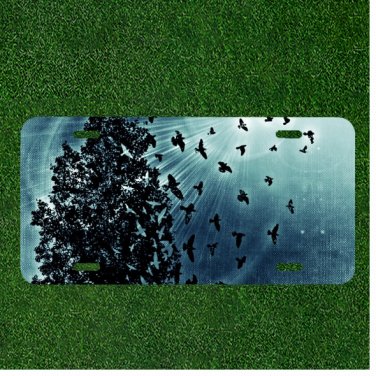 Custom Personalized License Plate Auto Tag With Gorgeous Birds By Blue Light
