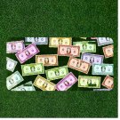 Custom Personalized License Plate Auto Tag With Colorful Money Dollar Bills NEW