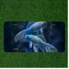 Custom Personalized License Plate Auto Tag With Two Blue Sea Fish Design NEW