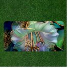 Custom Personalized License Plate Auto Tag With Stunning White Flower Design