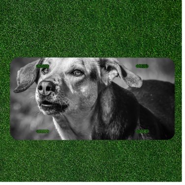 Creative License Plate Auto Tag With Dog In Black And White Design