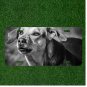 Creative License Plate Auto Tag With Dog In Black And White Design