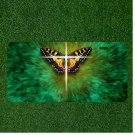 Custom Personalized License Plate With Stunning Yellow Butterfly In Green NEW