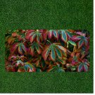 Creative License Plate Auto Tag With Colorful Purple Leaves View