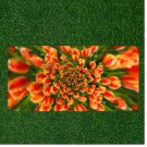 Custom Personalized License Plate Auto Tag With Stunning Illusion Flowers NEW