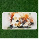 Creative License Plate Auto Tag With Amazing Golden Retriever Design