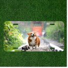 Custom Personalized License Plate Auto Tag With Smiling Dog In Rain And Happy