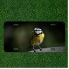 Creative License Plate Auto Tag With Amazing Bird Design Add Names