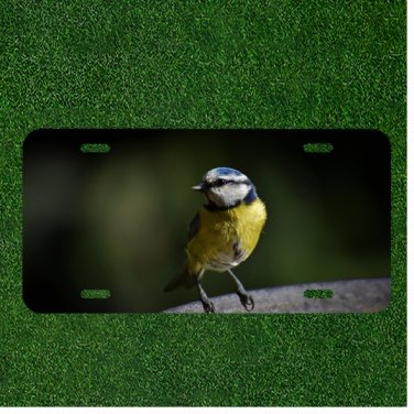 Creative License Plate Auto Tag With Amazing Bird Design Add Names