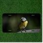 Creative License Plate Auto Tag With Amazing Bird Design Add Names