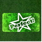 Custom Personalized License Plate Auto Tag With PERFECT! Green Star