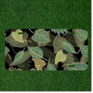 Custom Personalized License Plate Auto Tag With Fancy Green And Yellow Leaves
