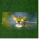 Creative License Plate Auto With Stunning Green Birds Spreading Wings On Branch