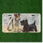 Custom Personalized License Plate Auto Tag With Two Cute Black And White Dogs