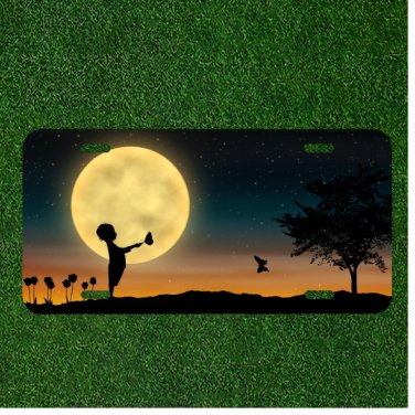 Custom Personalized License Plate Auto Tag With Baby Boy By Moon And Butterfly