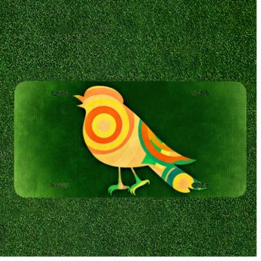 Custom Personalized License Plate Auto Tag With Colorful Creative Bird Design