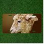 Custom Personalized License Plate Auto Tag With Stunning Sheep Design NEW