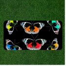 Custom Personalized License Plate Tag With Colorful Black And Color Butterflies