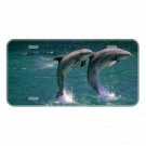 Custom Personalized License Plate Auto Car Tag Design With Two Dolphins Add Text
