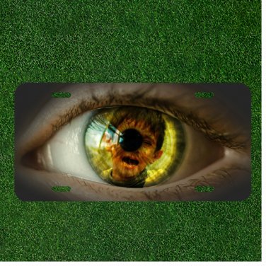Custom Personalized License Plate Auto Tag With Kid Crying In Moms Eye Design