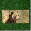 Bear Animal Mouth Art Vintage Custom Novelty License Plate Car Tag