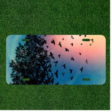 Custom Personalized License Plate Auto Tag With Birds And Tree By Colorful Sky