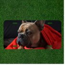 Creative License Plate Auto Tag With Cute Pug In Red Blanket View