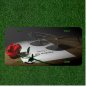 Custom Personalized License Plate Auto Tag With Sorry My Mistake Note And Rose