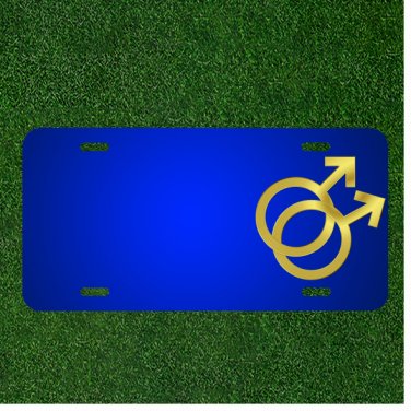 Custom Personalized License Plate With Add Names To Gay Symbol Couple