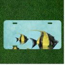 Custom Personalized License Plate Auto Tag With Black And Yellow Fish Design