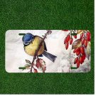 Custom Personalized License Plate Auto Tag With Amazing Bird On Branch Design
