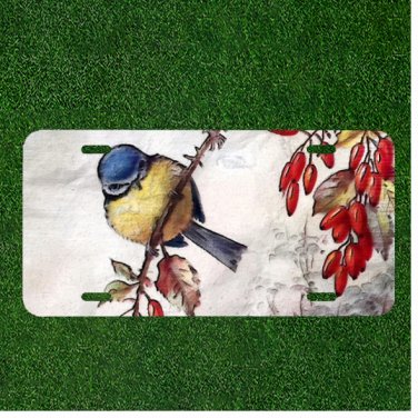 Custom Personalized License Plate Auto Tag With Amazing Bird On Branch Design