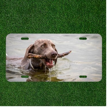 Creative License Plate Auto Tag With Dog With Branch In Mouth Design