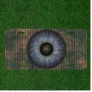 Custom Personalized License Plate Auto Tag With Pupil Cool Eye Design
