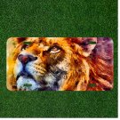 Creative License Plate Auto Tag With Colorful Rainbow Lion Amazing Design