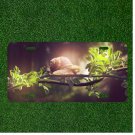 Custom Personalized License Plate Auto Tag With Stunning Design Of Tree Branch