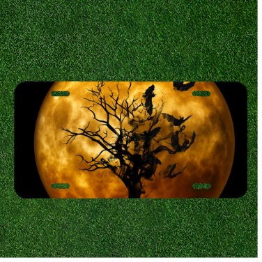 Custom Personalized License Plate Auto Tag With Lonely Tree By Moon Design