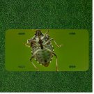 Creative License Plate Auto Tag With Insect Bug Design Add Names