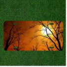 Creative License Plate Auto Tag With Orange Dark Trees Sun Design
